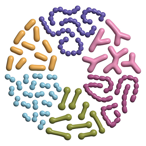 microbioma humano